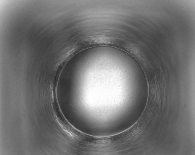 X0000061120398200511211006