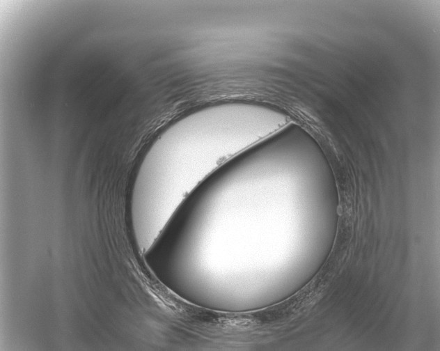 X0000061120401200511211006