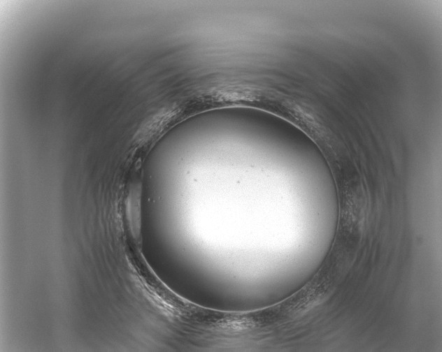 X0000061120402200511211006