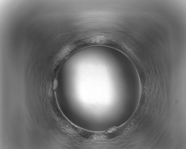 X0000061120403200511211006