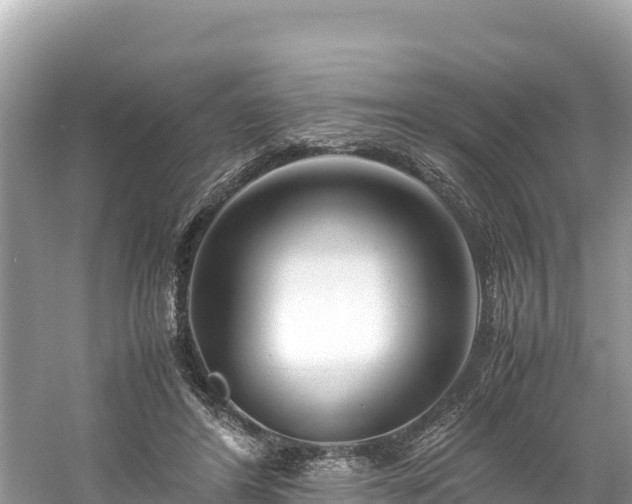 X0000061120404200511211006