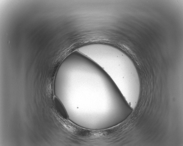 X0000061120405200511211006