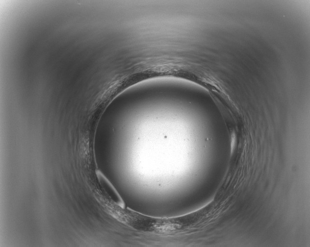 X0000061120407200511211006