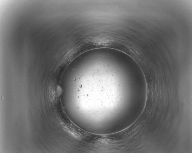 X0000061120408200511211006