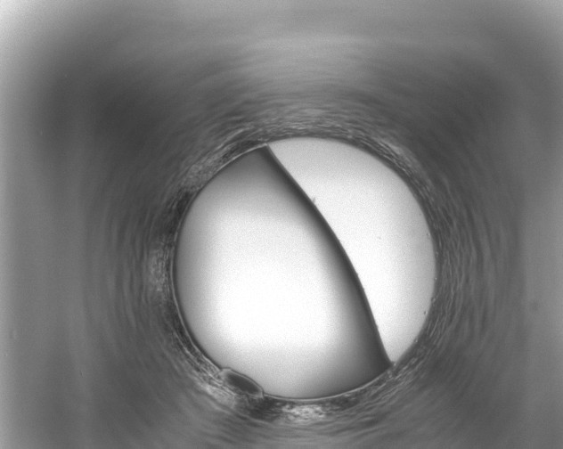 X0000061120409200511211006