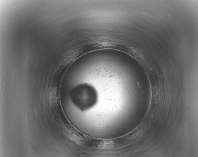 X0000061120410200511211006