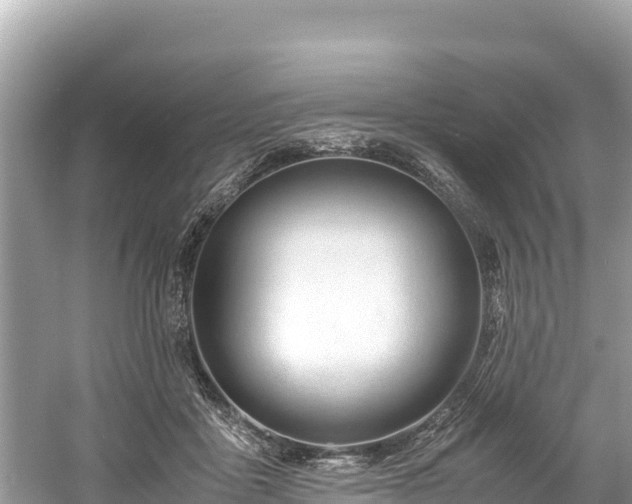 X0000061120411200511211006