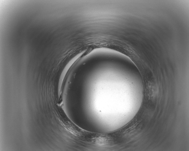 X0000061120412200511211006