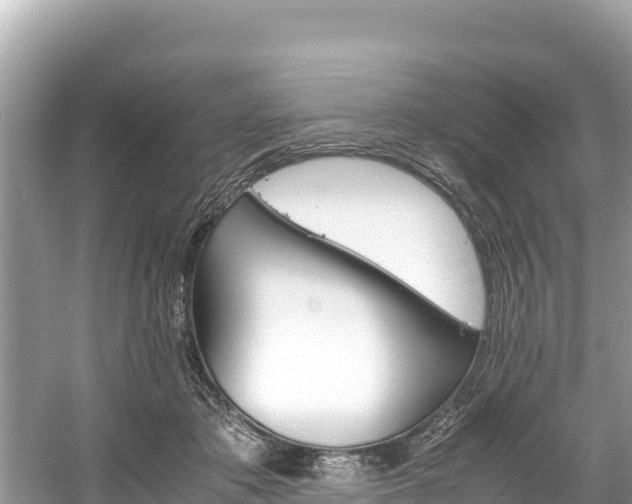 X0000061120413200511211006