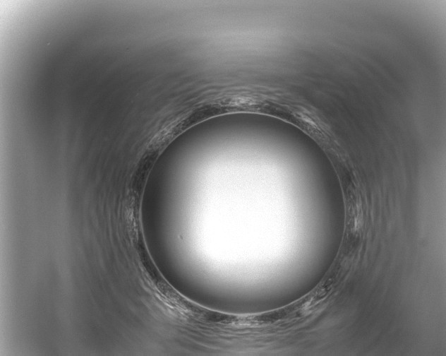 X0000061120415200511211006