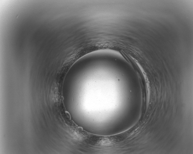 X0000061120416200511211006