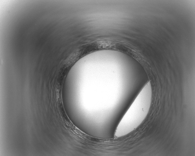 X0000061120417200511211006