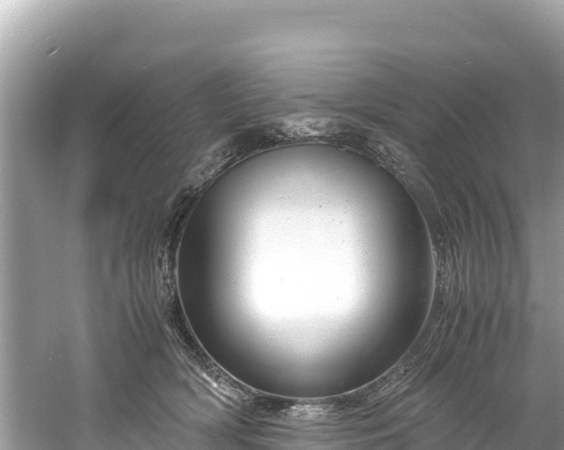 X0000061120418200511211006