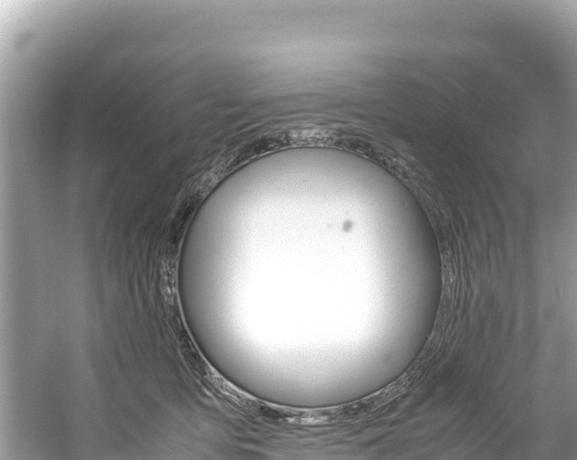 X0000061120419200511211006