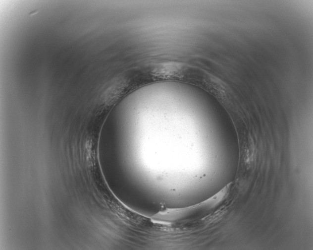 X0000061120420200511211006