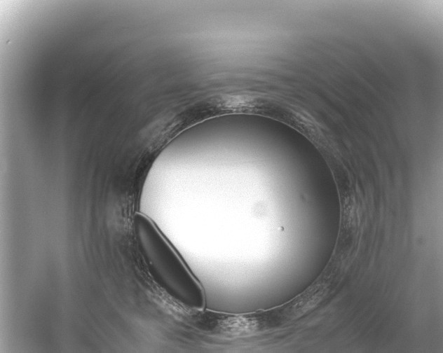 X0000061120421200511211006