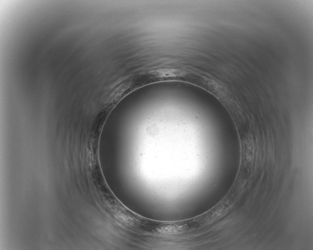 X0000061120422200511211006