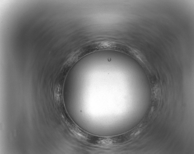 X0000061120423200511211006