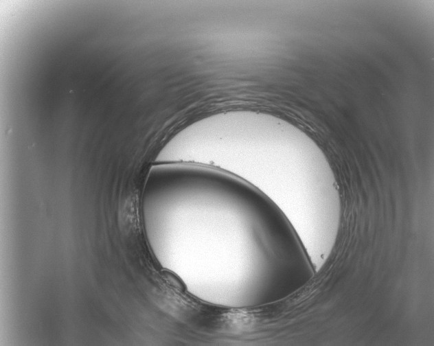 X0000061120425200511211006