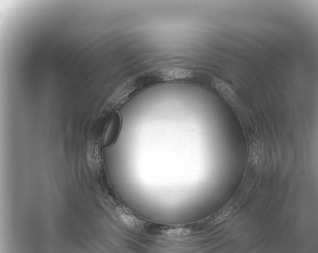 X0000061120426200511211006