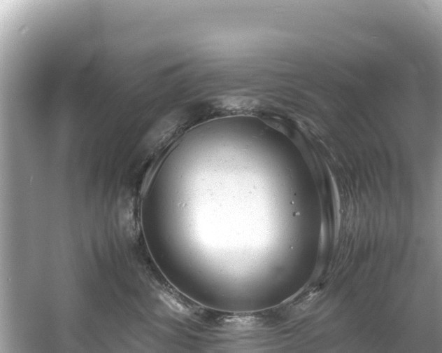 X0000061120428200511211006