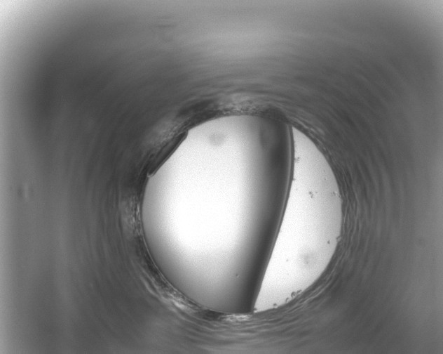 X0000061120429200511211005