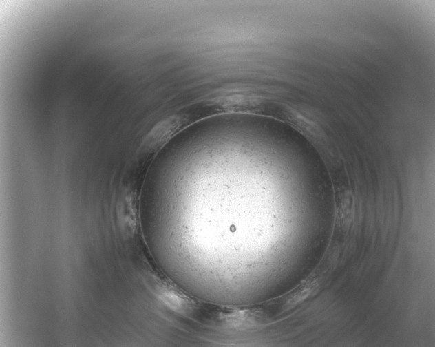 X0000061120430200511211005