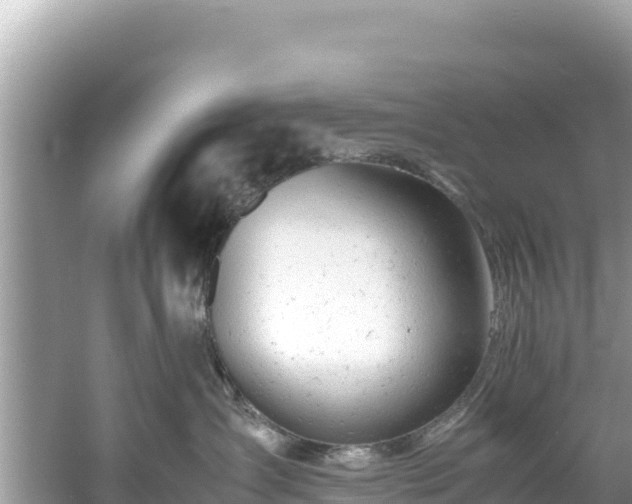 X0000061120431200511211005