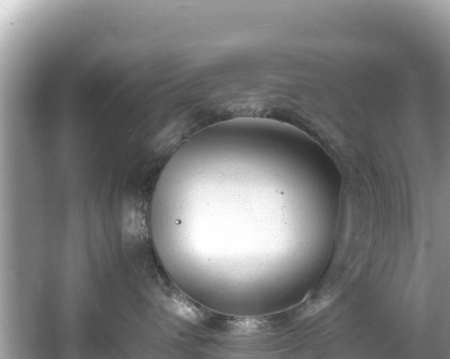 X0000061120432200511211005