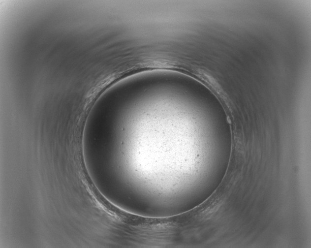 X0000061120433200511211005