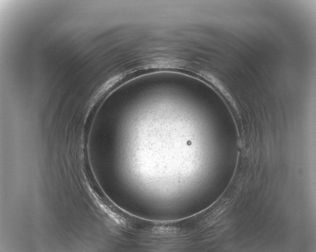 X0000061120437200511211005