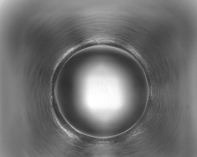 X0000061120438200511211005