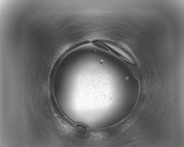 X0000061120439200511211005