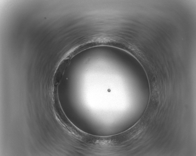 X0000061120440200511211005