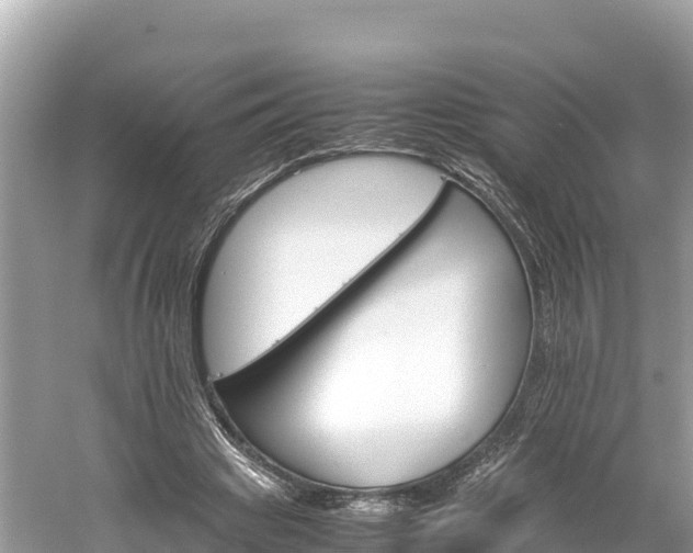 X0000061120441200511211005