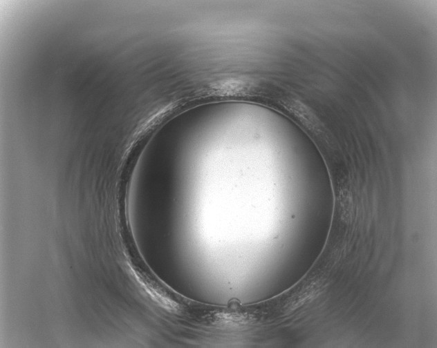 X0000061120442200511211005