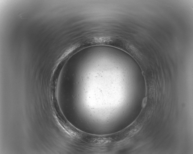 X0000061120443200511211005