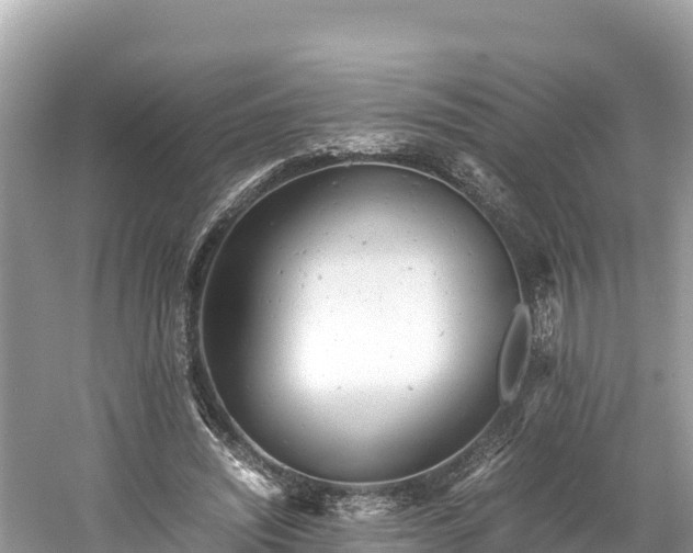 X0000061120444200511211005