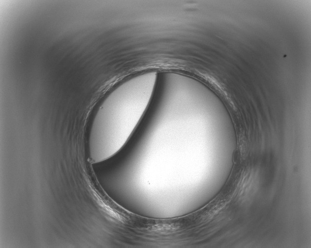 X0000061120445200511211005