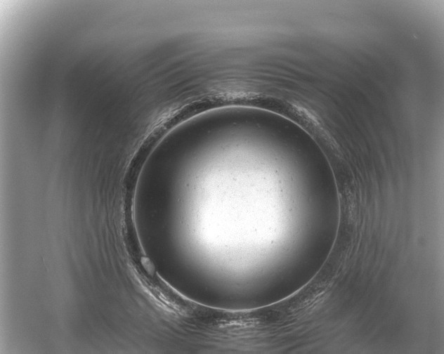 X0000061120447200511211005