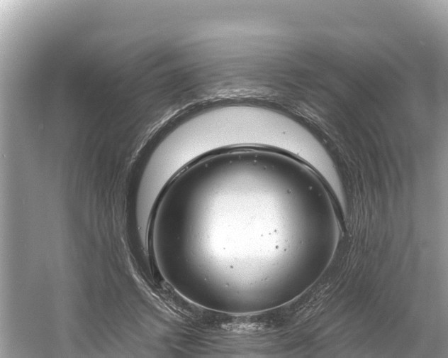 X0000061120448200511211005