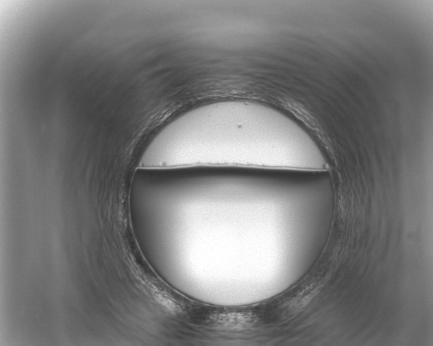 X0000061120449200511211005