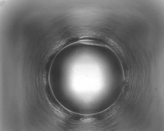 X0000061120452200511211005