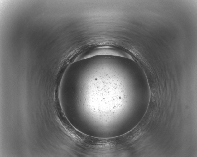 X0000061120454200511211005