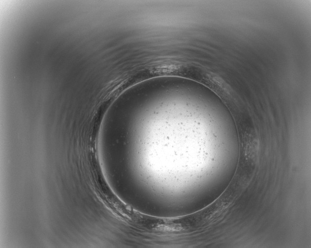 X0000061120455200511211005