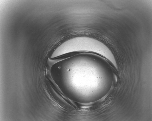 X0000061120456200511211005