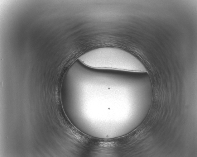 X0000061120457200511211005