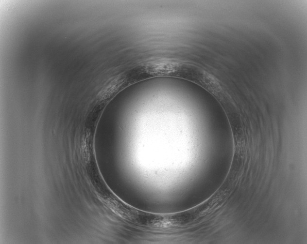 X0000061120460200511211005