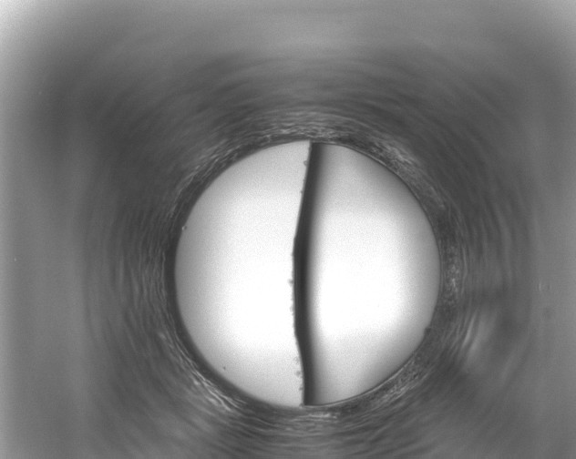 X0000061120461200511211005