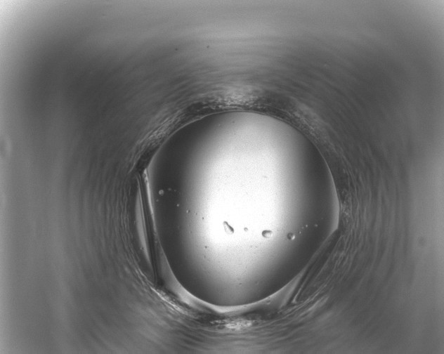 X0000061120462200511211005